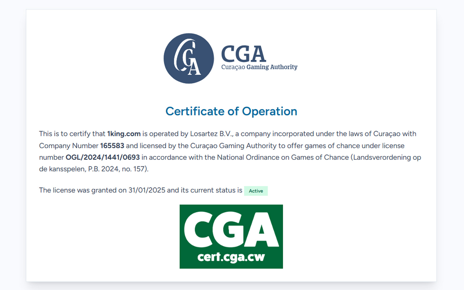 1King lisans sayfasında ekranın üst kısmında lisans başlığı, altında detaylı yasal metin bloklarının bulunduğu görünüm.