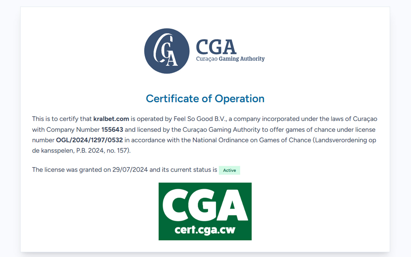 Kralbet lisans sayfasında ekranın üst kısmında lisans başlığı, altında detaylı yasal metin bloklarının bulunduğu görünüm.