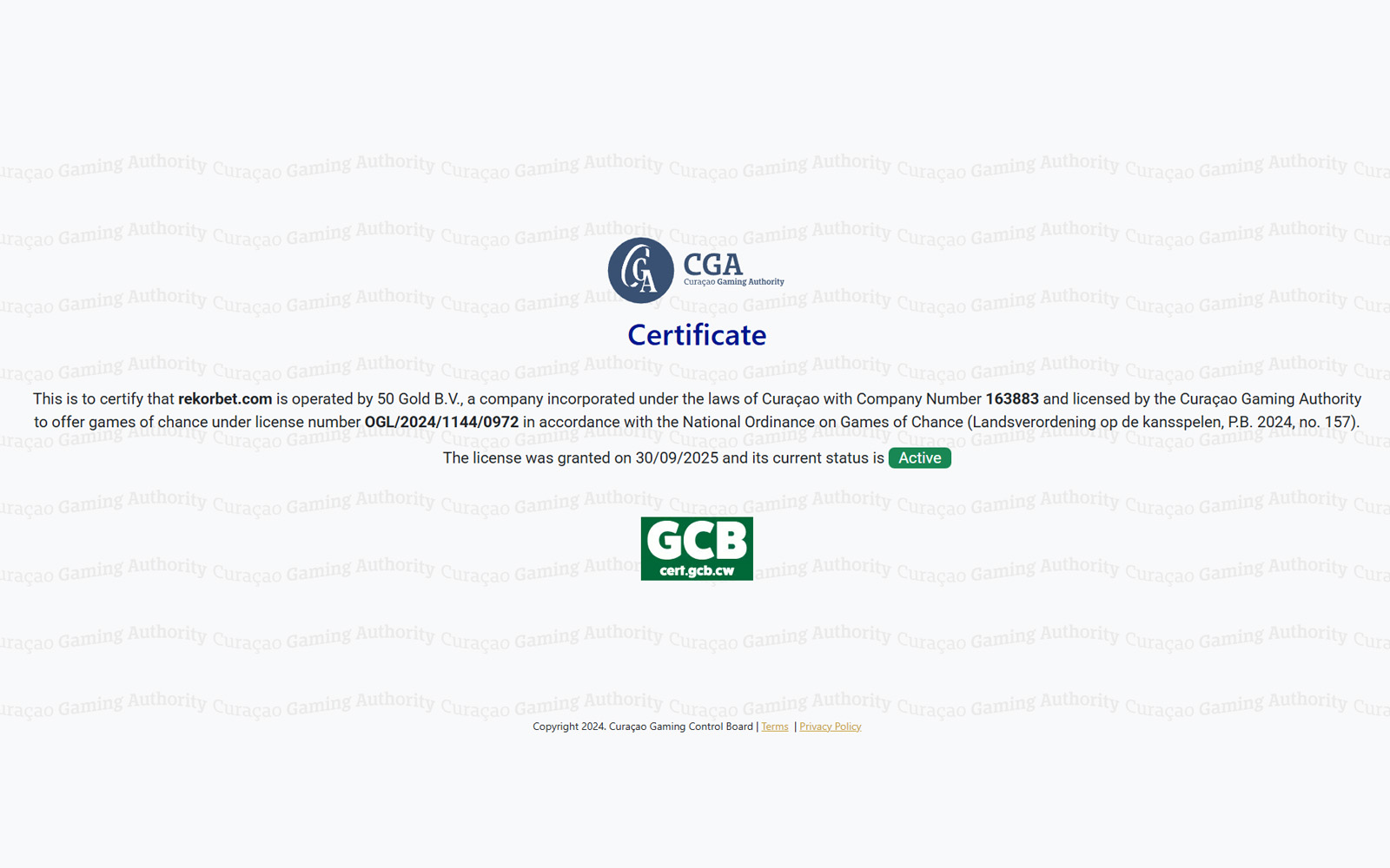 Rekorbet lisans ekranında mobil ve masaüstü platformlar için geçerli olan lisans kapsamını anlatan bilgilendirme.