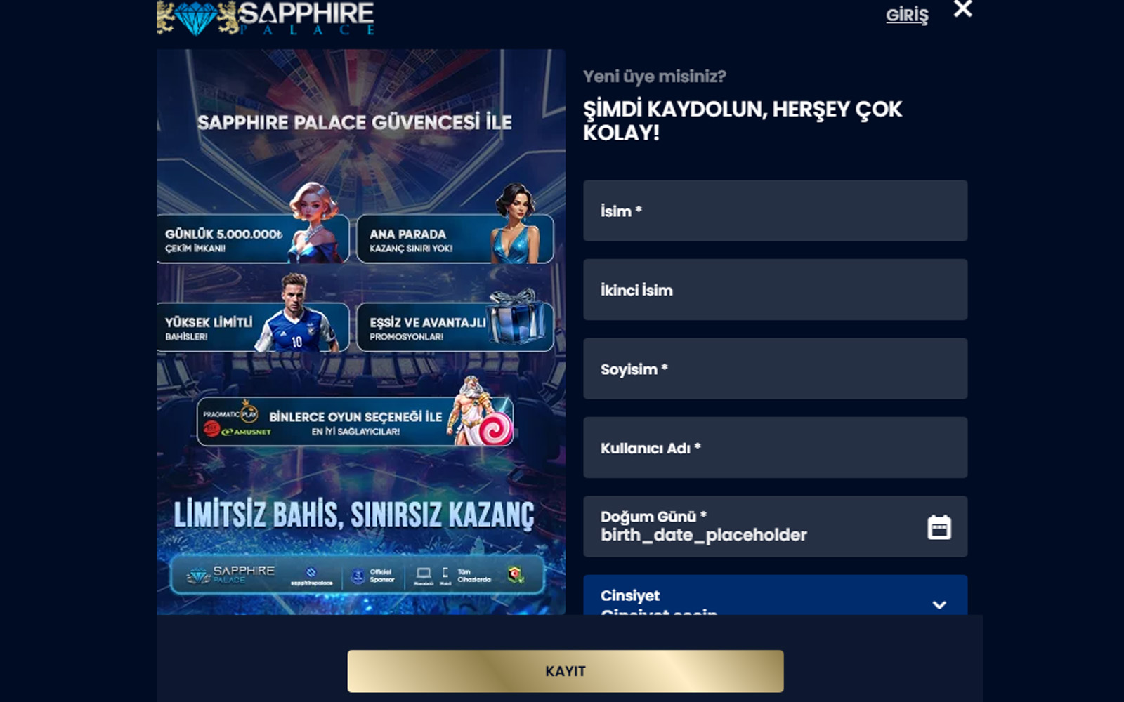 Sapphirepalace kayıt ekranında hatalı bilgi girişinde kırmızı uyarı mesajlarının belirdiği form görüntüsü.