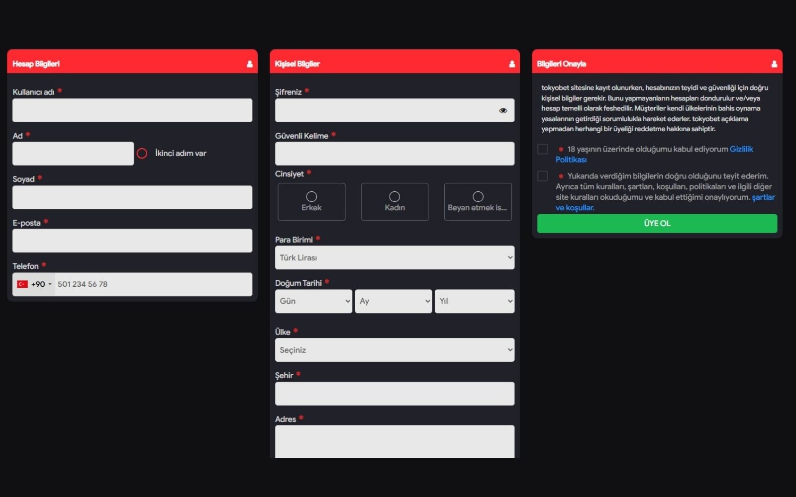 Tokyobet kayıt ekranında kullanıcı sözleşmesi ve gizlilik politikası bağlantılarının alt satırda yer aldığı görünüm.